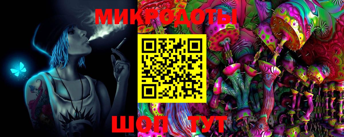 Галлюциногенные грибы Psilocybe Зима