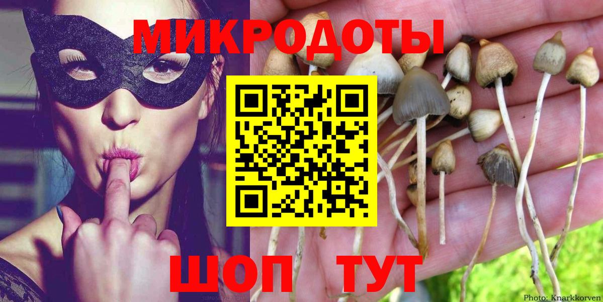 купить  цена  Вход с VPN  Зима  Псилоцибиновые грибы мухоморы 